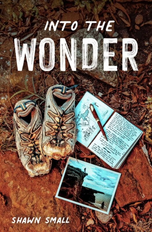 Into the Wonder - By Shawn Small