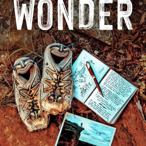 Into the Wonder - By Shawn Small