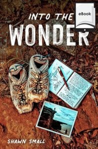 Into the Wonder