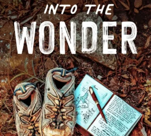 Into the Wonder Audiobook