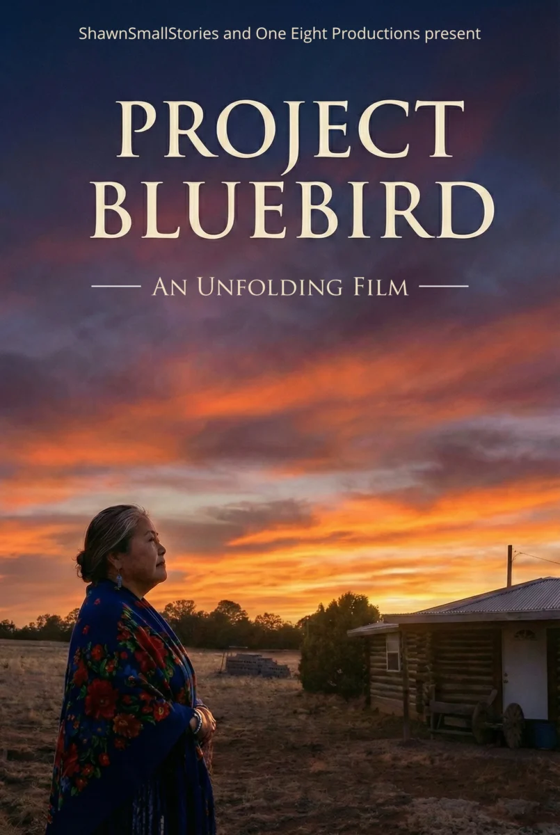 Project Bluebird Film